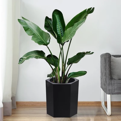 16 Inch Tall Planters Set Of 2, Self Watering Pots With Water Level Monitor, Bottom Wheels And Drainage Hole, Outdoor & Indoor Plant Pots For Patio 3 16 Inch Tall Planters Set Of 2, Self Watering Pots With Water Level Monitor, Bottom Wheels And Drainage Hole, Outdoor & Indoor Plant Pots For Patio - Image 3