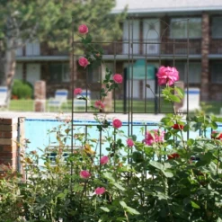 4 Pack Metal Garden Trellis 71" X 17.7" Rustproof Trellis For Climbing Plants Outdoor Flower Support Brown 9 4 Pack Metal Garden Trellis 71" X 17.7" Rustproof Trellis For Climbing Plants Outdoor Flower Support Brown -Garvee Sales GUEST 3ad3a69d 69df 40a9 8577 3ff925501078