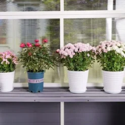 Greenhouse, Wooden Lean To Greenhouses For Outdoors, Heavy Duty Walk In Green House For Outside Winter For Sunroom Storage Shed, Garden, Backyard 25 Greenhouse, Wooden Lean To Greenhouses For Outdoors, Heavy Duty Walk In Green House For Outside Winter For Sunroom Storage Shed, Garden, Backyard -Garvee Sales GUEST 808039e3 9a00 47e5 b20f 16c805e2ebb7