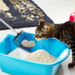 Garvee 3-in-1 Chicken Coop Cleaning Tool With Rake, Shovel & Scoop – Adjustable Stainless Steel Handle For Poultry Waste, Sand & Bedding -Garvee Sales GUEST 8281d58a f772 4c05 b65f f7c89ca474d7