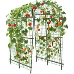 Garden Arch Trellis 7.5FT – Extra Tall Metal Pergola Arbor With Polyethylene-Coated Steel, Adjustable Width, For Climbing Plants & Outdoor Décor 15 Garden Arch Trellis 7.5FT – Extra Tall Metal Pergola Arbor With Polyethylene-Coated Steel, Adjustable Width, For Climbing Plants & Outdoor Décor -Garvee Sales GUEST bac38bae 5a50 4ed6 b20d 5a44768ceaa8