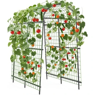 Garden Arch Trellis 7.5FT – Extra Tall Metal Pergola Arbor With Polyethylene-Coated Steel, Adjustable Width, For Climbing Plants & Outdoor Décor 8 Garden Arch Trellis 7.5FT – Extra Tall Metal Pergola Arbor With Polyethylene-Coated Steel, Adjustable Width, For Climbing Plants & Outdoor Décor - Image 8