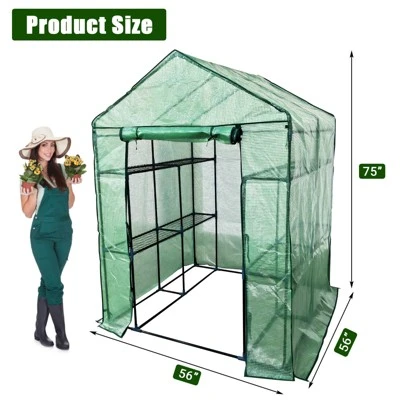 Greenhouse For Outdoors,Portable Green House W/ Roll-Up Zippered Door Anchors & Ropes,Plant Garden Hot House W/ Shelves For Garden Patio Backyard 1 Greenhouse For Outdoors,Portable Green House W/ Roll-Up Zippered Door Anchors & Ropes,Plant Garden Hot House W/ Shelves For Garden Patio Backyard