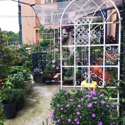 2 Pack Metal Garden Trellis 71" X 19.7" Rustproof Trellis For Climbing Plants Outdoor Flower Support Cream White 5 2 Pack Metal Garden Trellis 71" X 19.7" Rustproof Trellis For Climbing Plants Outdoor Flower Support Cream White - Image 5