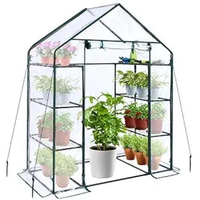 Outdoor Gardening Greenhouse, 56.3x56.3x76.77 Inch 6 Shelf Walk In, Heavy Duty Metal Frame,PE Cover, Roll Up Door, All Season Plant House 2 Outdoor Gardening Greenhouse, 56.3x56.3x76.77 Inch 6 Shelf Walk In, Heavy Duty Metal Frame,PE Cover, Roll Up Door, All Season Plant House - Image 2
