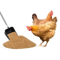 Garvee 3-in-1 Chicken Coop Cleaning Tool With Rake, Shovel & Scoop – Adjustable Stainless Steel Handle For Poultry Waste, Sand & Bedding -Garvee Sales GUEST f5a03188 d9c7 43f8 8def 8abd85299e4c